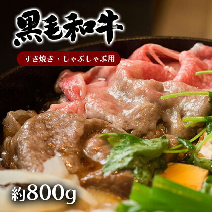 黒毛和牛 A4 ~ A5 ランク モモ肉 スライス すき焼き しゃぶしゃぶ 用 約 800g　和牛 牛 肉 薄切り 国産 熊本 天草 苓北 送料無料