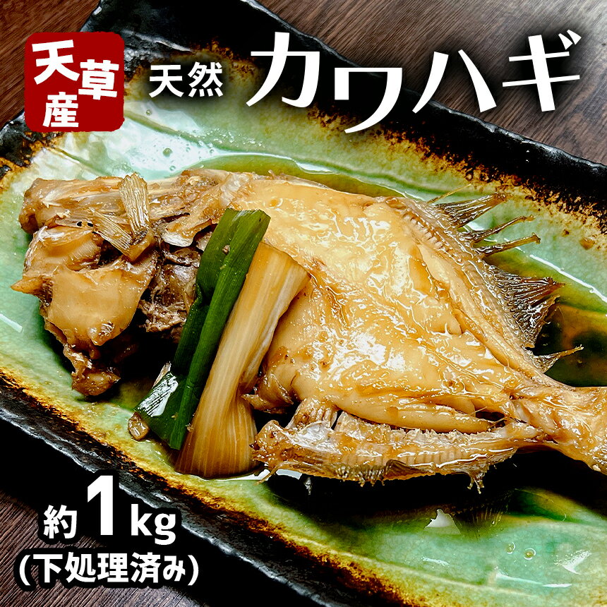 【ふるさと納税】魚 カワハギ 冷凍 白身魚 煮つけ 海産物 天草 苓北 熊本 送料無料