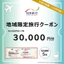 【ふるさと納税】 大分県 日本旅行 地域限定旅行クーポン (30,000円分) 観光 旅 旅行 宿泊 ホテル 旅館 温泉 おんせん 【am002】【日本旅行】