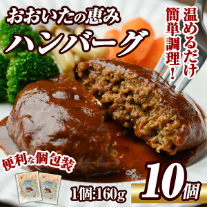 【ふるさと納税】 おおいたの恵みハンバーグ(計1.6kg・160g×10個)牛肉 豚肉 肉 デミグラスソース おかず 小分け 個包装 温めるだけ 【opng002】【全国農業協同組合連合会 大分県本部】
