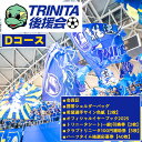 【ふるさと納税】 2025年大分トリニータ後援会(Dコース) 大分トリニータ 後援会 サッカー 大分県 【optr004】【大分トリニータ後援会】