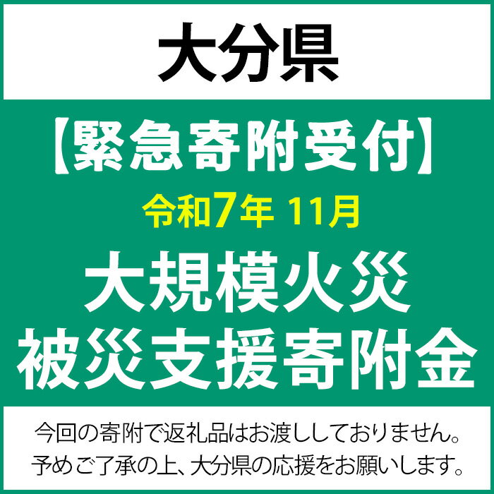 [令和7年11月大規模火災被災支援緊急寄附受付]大分県災害応援寄附金(返礼品はありません)