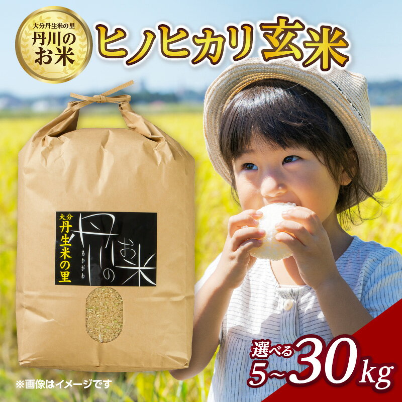 丹生米の里 丹川のお米 ヒノヒカリ玄米【選べる内容量】5kg〜 ひのひかり 丹川 美味しい お米 米 コメ 玄米 ご飯 ごはん おにぎり ブランド米 もっちり 粘り 料理 冷めてもおいしい お弁当 健康 九州 大分市産 国産 ビタミン ミネラル 食物繊維