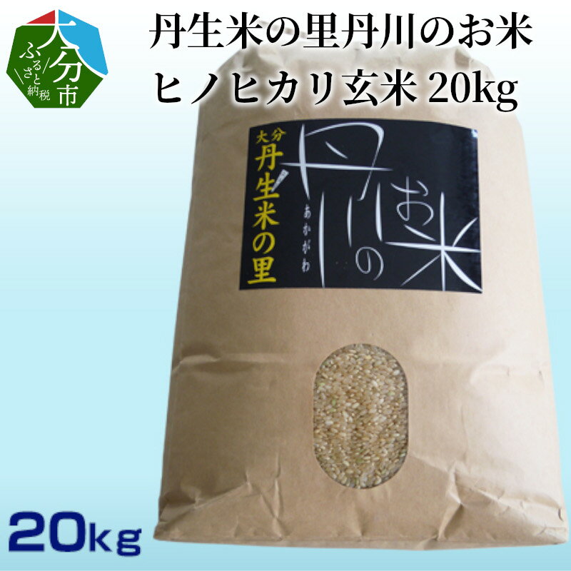 【ふるさと納税】丹生米の里丹川の お米 ヒノヒカリ 玄米 20kg 大分県産 ひのひかり 人気 おすすめ 冷めてもおいしい ごはん おにぎり ブランド米 もっちり 料理 お弁当 美味しい 常温 コスパ 国産 玄米食 食物繊維 お取り寄せ B02009