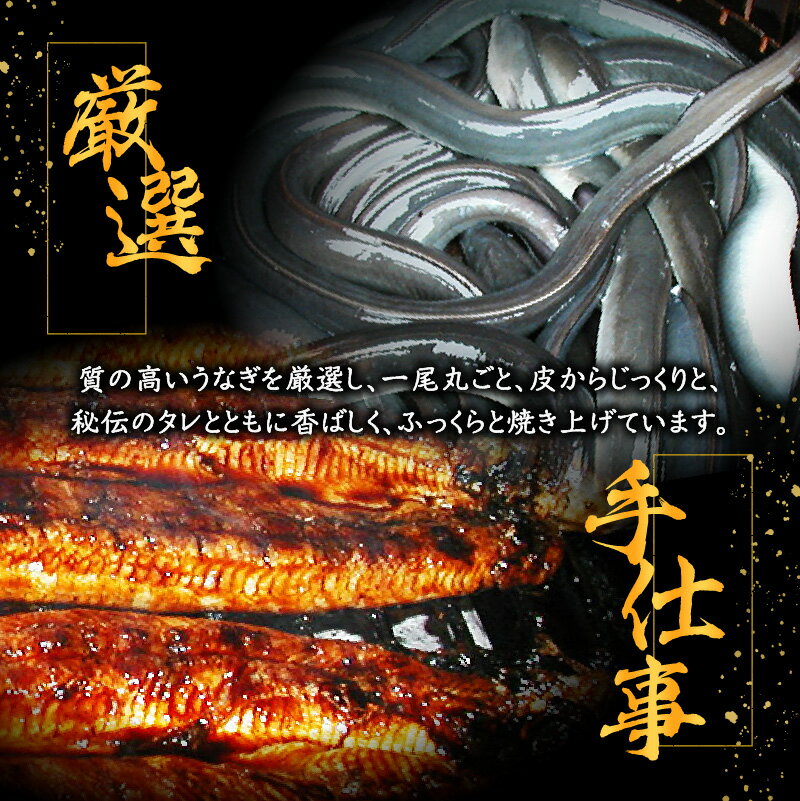 【ふるさと納税】 まいにち昆布（200g×5袋セット）