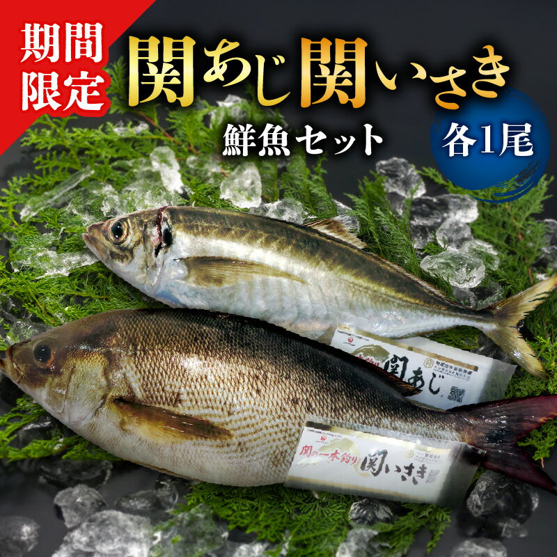 【ふるさと納税】【期間限定】関あじ・関いさき（鮮魚）セット（各1尾） 魚 鯵 イサキ 関あじ 約500g 関いさき 約700g セット 鮮魚 さかな お刺身 寿司 姿焼 塩焼き 食品 お取り寄せ グルメ お取り寄せグルメ ご当地グルメ ブランド魚 生もの 冷蔵 送料無料 E04022