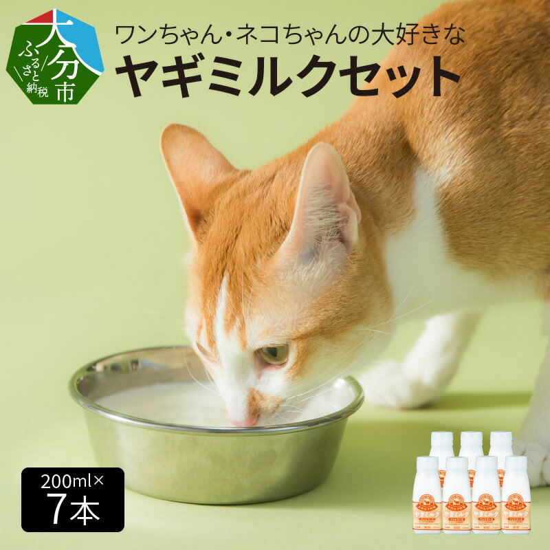 6位! 口コミ数「2件」評価「5」ワンちゃん ネコちゃん 大好きな ヤギミルク 200ml×7本 犬 猫 子犬 子猫 国産 低温殺菌 ウサギ 小動物 愛犬 愛猫 ペット ペッ･･･ 