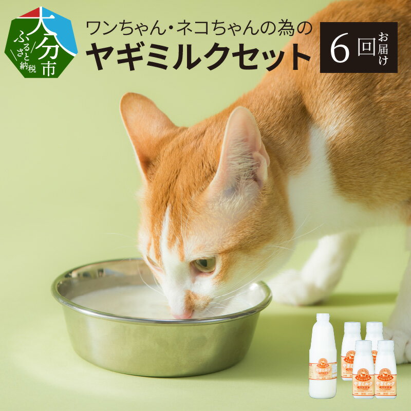 【ふるさと納税】【定期便】ワンちゃん ネコちゃんの為の ヤギミルク セット 国産 900ml×1本 200ml×4本 6回お届け ペット ペットおやつ 犬 猫 ウサギ 栄養補充 送料無料 ペットフード ドッグ キャット T10034