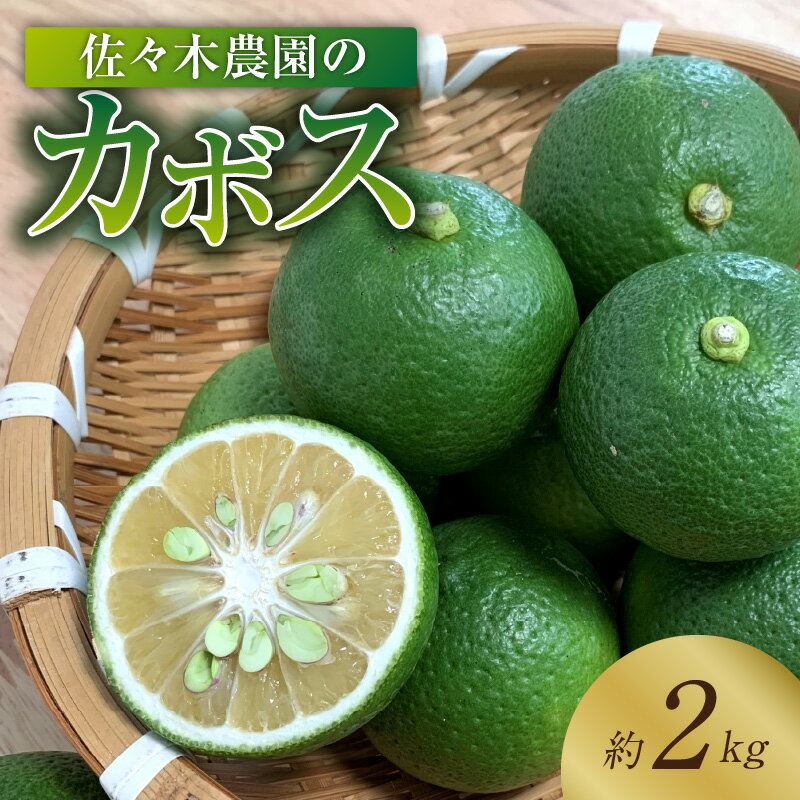 【ふるさと納税】佐々木農園のカボス 約2kg かぼす 柑橘 カボス果汁 調味料 果汁 料理 大分県産 大分特産物 大分名産品 国産 大分市 お取り寄せ お取り寄せフルーツ フレッシュ ビタミンC クエン酸 ご家庭用 常温 送料無料 C09007