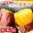 【ふるさと納税】焼芋「甘太くん」ひみつの黄蜜芋【選べる内容量】6袋~ 紅はるか 九州産 大分県産 さつまいも スイーツ 小分け 個包装 送料無料 冷凍 お取り寄せ ギフト 贈り物 プレゼント 焼き芋 F02003 F02009 F02013