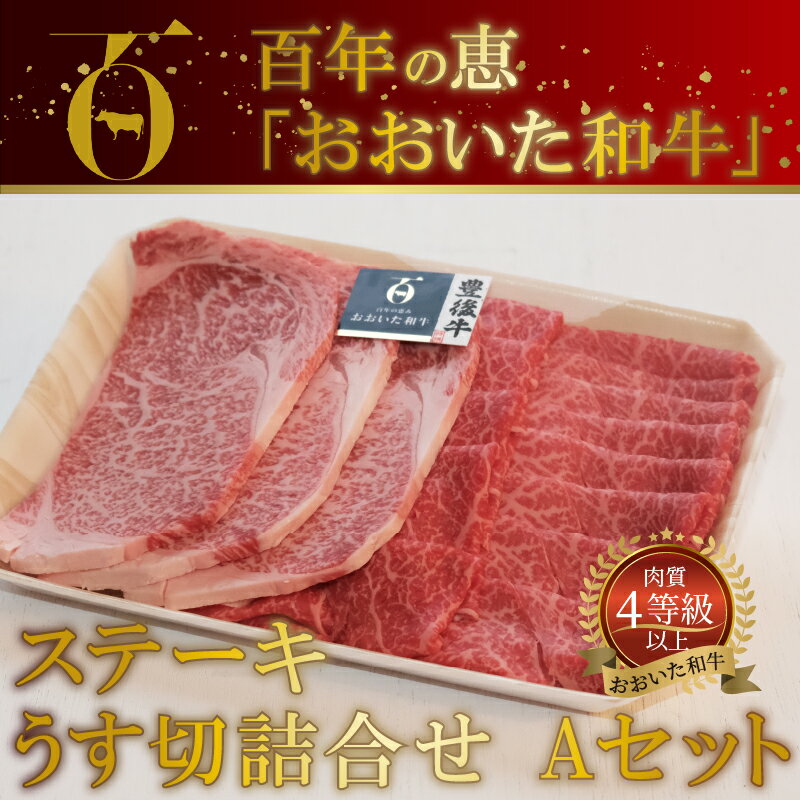 【ふるさと納税】百年の恵 「おおいた和牛」 ステーキ・うす切詰合せ Aセット約700g 国産 大分産 牛肉 ブランド牛 豊後牛 おおいた和牛 肉質4等級以上 霜降り サシ ロース ステーキ ももうす切り 薄切り 焼肉 焼き肉 すき焼き 牛すき 詰め合わせ お取り寄せ 冷凍 A01063