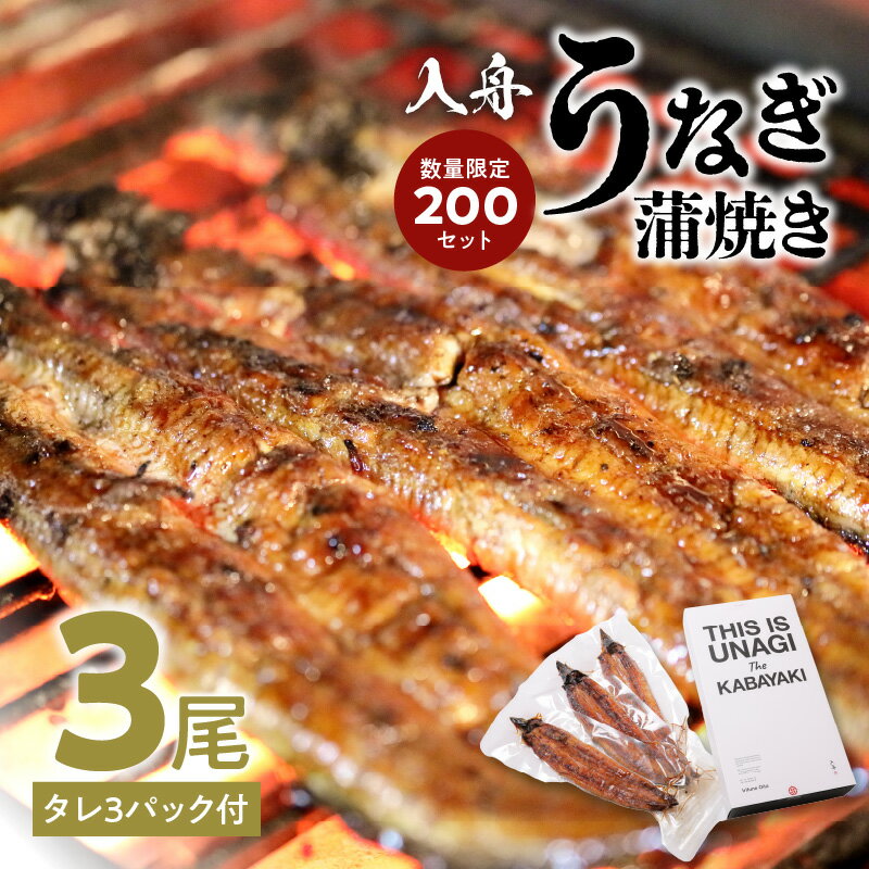 【ふるさと納税】入舟 うなぎ 蒲焼き ウナギ 鰻 3尾 タレ付き 数量限定 かば焼き うな重 うな丼 お茶漬..