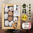 【ふるさと納税】大分県産椎茸 香こ 逸品【選べる内容量】110g~ 国産 大分産 大分県 しいたけ シイタケ 乾しいたけ 上こうこ 高級 ギフト 贈答 数量限定 煮物 炊き込みご飯 料理 ちらし寿司 鍋 炒め物