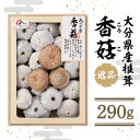 【ふるさと納税】大分県産椎茸 香こ 逸品 IP-B 290g 国産 大分産 しいたけ シイタケ 椎茸 乾しいたけ 乾椎茸 乾燥椎茸 干し椎茸 上こうこ 特産 大分名物 出汁 高級 ギフト 贈答 贈り物 数量限定 F07020