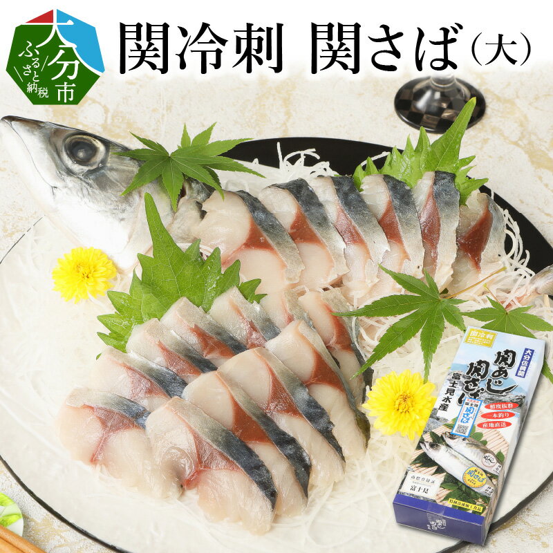 【ふるさと納税】関冷刺 関さば（大） 魚 約600g 3枚おろし 下処理済み 関冷刺 お刺身 刺身 海鮮丼 りゅうきゅう 関サバ さば サバ 鯖 真さば マサバ 冷凍 流水解凍 新鮮 佐賀関 豊後水道 E04002