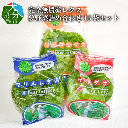 完全無農薬レタス 夢野菜詰め合わせ15袋セット 国産 大分産 サラダ菜 リーフレタス フリルレタス 水耕栽培 安心 安全 洗浄済み 大量 まとめ買い 食物繊維 サンドウィッチ 寿司 冷蔵 F01003