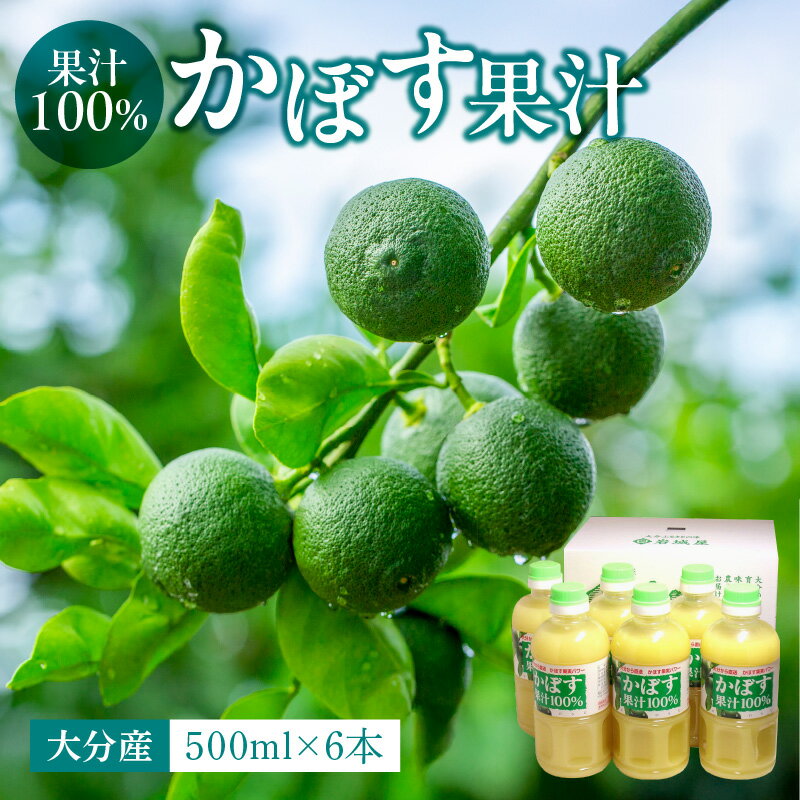 大分県 果汁 100% カボス果汁 500ml×6本 ペットボトル 大分県産 九州産 国産 かぼす 香母酢 果実 ストレート果汁 さわやか 優しい酸味 鍋 揚げ物 焼魚 焼酎 カクテル ビタミンC 無加水 万能 調味料 香酸柑橘類 まとめ買い ケース買い 常温