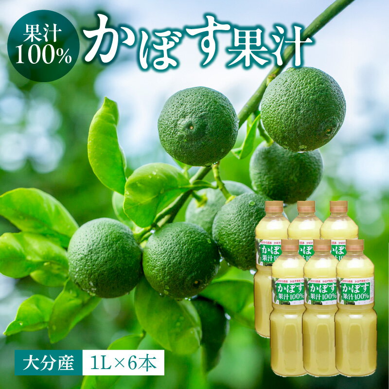 【ふるさと納税】大分県果汁 100％ カボス果汁 1,000ml×6本 ペットボトル 大分県産 九州産 国産 かぼす..