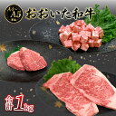 厳選A4～A5等級 おおいた和牛 3種 シャトーブリアン サーロイン サイコロ ステーキセット 合計1kg ステーキ 豪華 A5等級 A4等級 ギフト プレゼント バーベキュー BBQ 希少部位 鉄板焼き お取り寄せ A01126