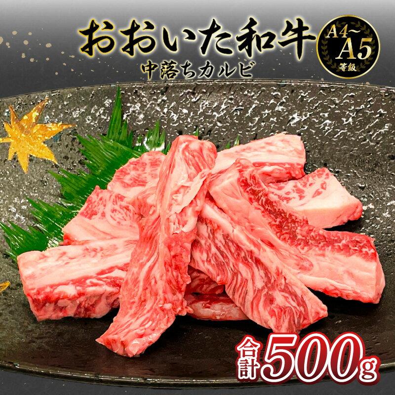 厳選A4〜A5等級 おおいた和牛 中落ちカルビ 500g バラ肉 希少部位 濃厚 焼肉 和牛 黒毛和牛 A4等級 A5等級 ギフト対応 ギフト プレゼント 贈答用 お取り寄せ 冷凍 送料無料 バーベキュー BBQ