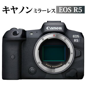 【ふるさと納税】キヤノン ミラーレス カメラ EOS R5 家電 写真 canon 正規品 35mm...