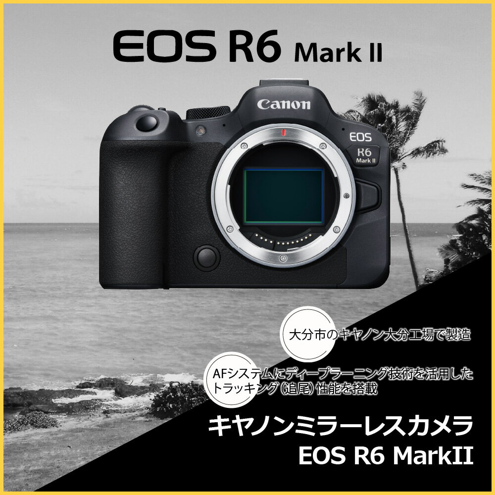 【ふるさと納税】キヤノン ミラーレスカメラ EOS R6 Mark II 家電 写真 正規品 トラッキング ミラーレス一眼 Canon キャノン カメラ 動画 撮影 2420万画素 記念撮影 アウトドア 運動会 高画質 R14150