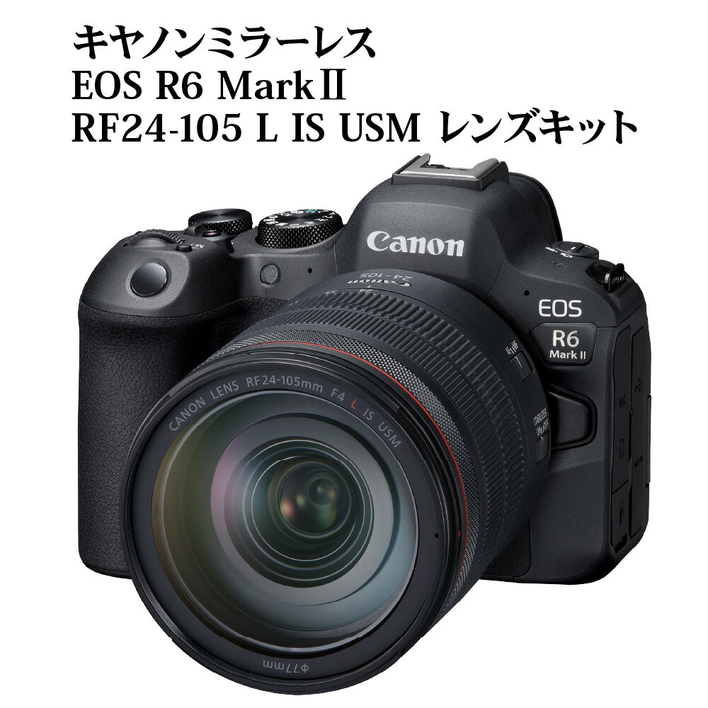 【ふるさと納税】キヤノン ミラーレスカメラ EOS R6 M