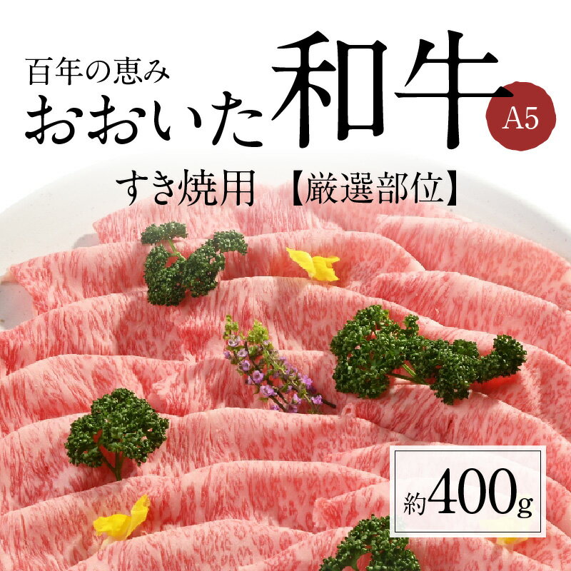 【ふるさと納税】牛肉 おおいた和牛 A5 約400g 百年の恵み すき焼き用 厳選部位 ロース 肩ロース もも 肩 肉 和牛 スライス 肉質4等級以上 霜降り 国産 鍋 すき焼き ギフト 贈答 冷凍 大分県産 食品 グルメ お取り寄せ お取り寄せグルメ 送料無料 A01099