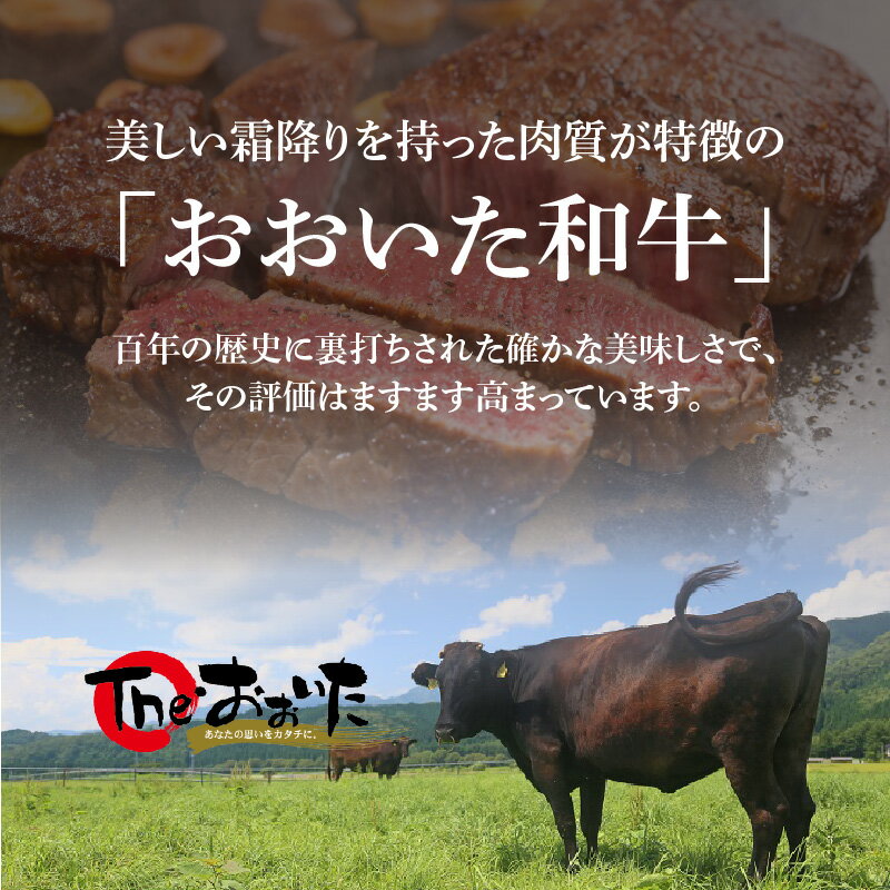 【ふるさと納税】百年の恵み おおいた和牛 A5 ステーキ用 厚切り 【厳選部位】 約600g ステーキ 霜降り 牛肉 豊後牛 和牛 肉質4等級以上 国産 鉄板 ギフト 贈答 冷凍 サーロイン お取り寄せグルメ お取り寄せ 大分県産 A01104