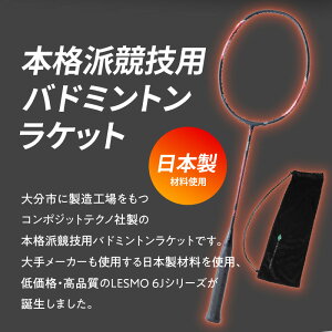 【ふるさと納税】バドミントンラケット LESMO P6J 国産 日本製 ガット張り 本格 競技用 数量限定 バトミントン ラケット 高品質 低価格 パワー重視 SGマーク 保証あり 合格品 カバー付き インドアスポーツ 大分産 カーボン R14042