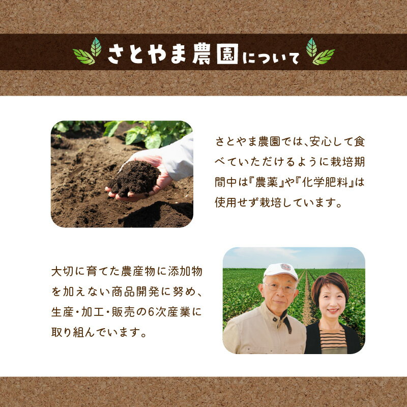 【ふるさと納税】秋ウコン粉末 大分県産 栽培期間中は農薬・化学肥料未使用 ウコン ターメリック スパイス クルクミン 農薬未使用 スパイスカレー 美容 健康 色付け 小分け 粉末 F09001