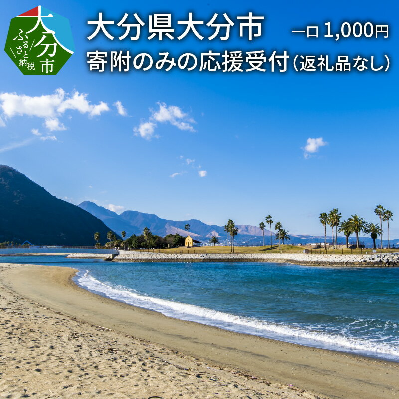 大分県大分市 返礼品なし(寄附のみの受付となります) 一口1,000円