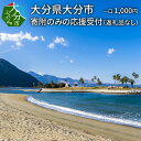 1位! 口コミ数「1件」評価「5」大分県大分市 返礼品なし（寄附のみの受付となります） 一口1,000円　Z03001