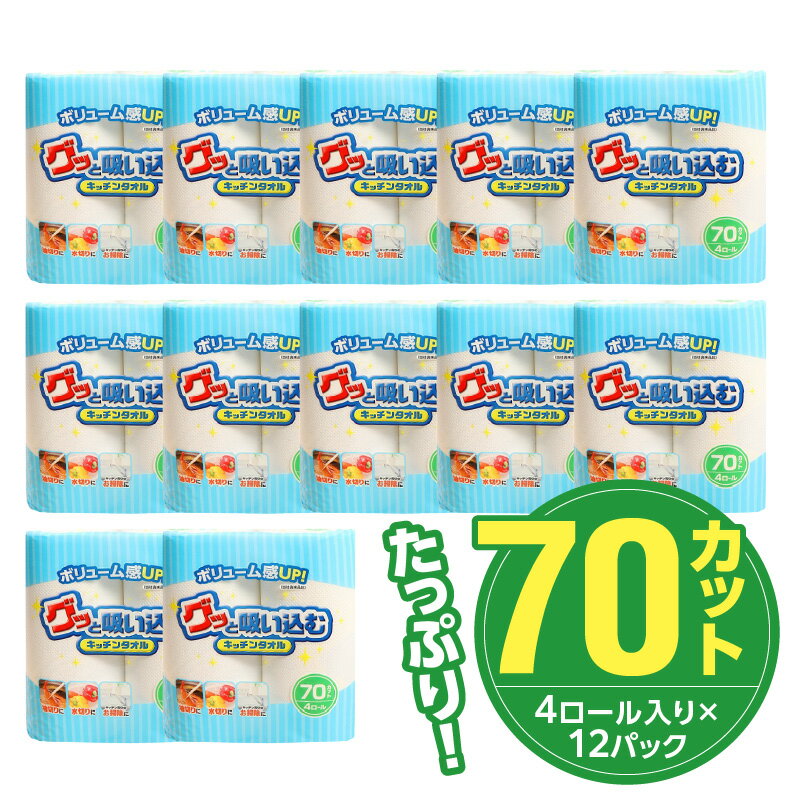 【ふるさと納税】キッチンタオル 70カット 48ロール 日本製 キッチンペーパー ペーパータオル 大容量 まとめ買い 電子レンジ使用可 クッキングペーパー 消耗品 日用品 吸収力 長持ち 破れにくい キッチン用品 大分製紙 生活必需品 料理 掃除 送料無料 R14019