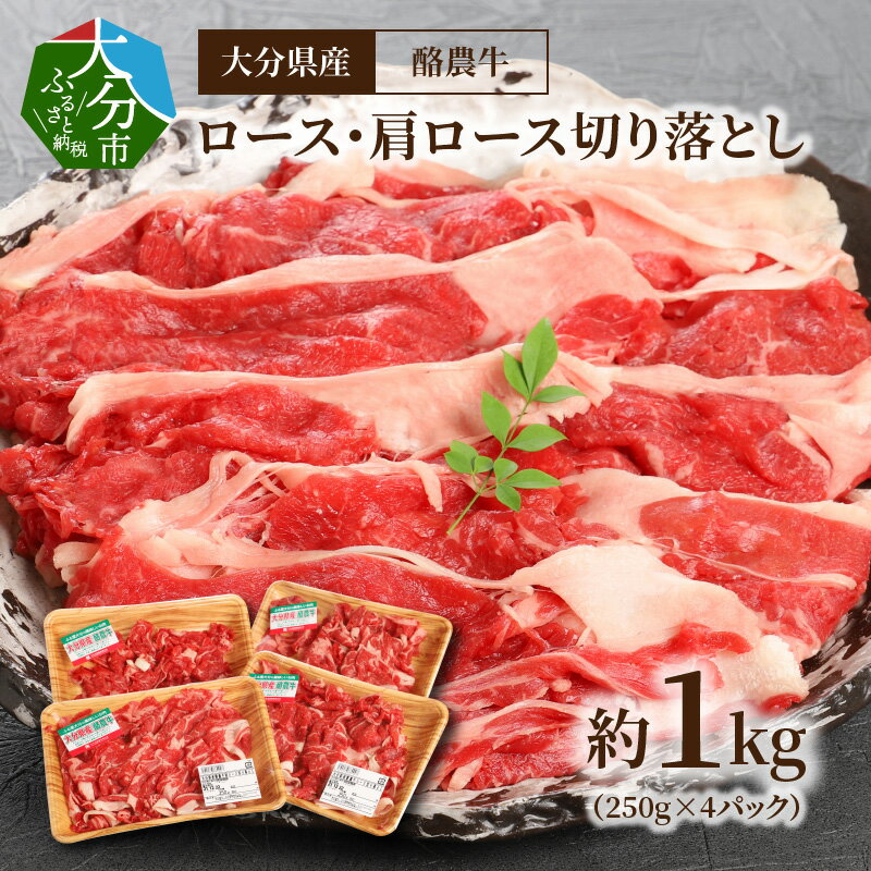 牛肉 切り落とし 約 1.0kg 250g×4パック 小分け ロース 肩ロース 大分県産 酪農牛 味わい 深く 濃厚 鍋 すき焼き しゃぶしゃぶ カレー 野菜炒め お取り寄せグルメ たっぷり お取り寄せ 冷凍 スライス