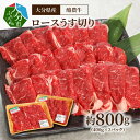【ふるさと納税】牛肉 ロース うす切り 約 800g 400g×2パック 小分け 赤身 柔らかい 旨味 ロース スライス 大分県産 酪農牛 すき焼き しゃぶしゃぶ カレー 野菜炒め 牛丼 ビビンバ たっぷり 冷凍 スライス肉 A01113
