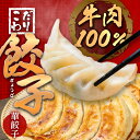 【ふるさと納税】牛肉100%の餃子 華永の華餃子 10個入り2パック 牛肉 ギョーザ 餃子 冷凍餃子 ギョウザ ぎょうざ セット 手包み 手作業 もちもちの皮 飯 おかず おつまみ ジューシー 肉汁 栄養満点 食べ応え抜群 美味しい 必須アミノ酸 水餃子 焼餃子 A07003