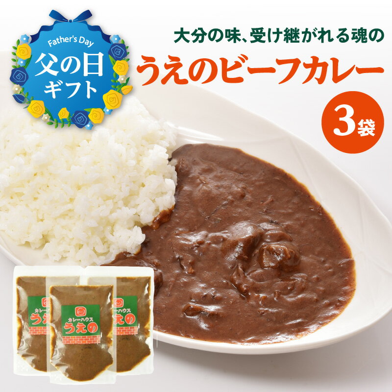 【父の日ギフト】大分の味、受け継がれる魂のうえのビーフカレー 3袋 ≪6月16日お届け≫ カレーライス カレールー 欧風 カレー おおいた和牛 スパイシー シンプル 牛ホホ肉 化学調味料不使用 簡単調理 冷蔵 湯せん 電子レンジ お取り寄せ 大分県産 K03027-C