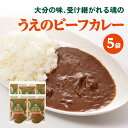 19位! 口コミ数「0件」評価「0」大分の味、受け継がれる魂のうえのビーフカレー 5袋 カレーライス カレールー 欧風 カレー おおいた和牛 スパイシー シンプル 牛ホホ肉 化･･･ 