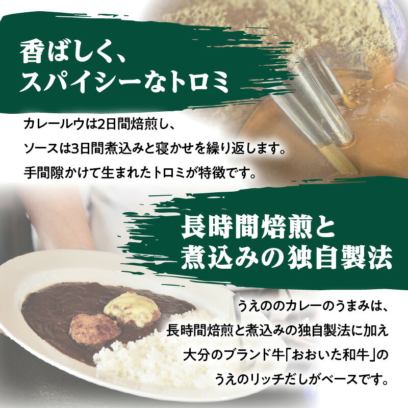 【ふるさと納税】九州クラフト うえの焙煎ビーフカレー レトルト【選べる内容量】3袋or5袋 カレー 豊後牛 簡単調理 電子レンジ レンチン 小分け 長期保存 常温保存 湯せん 時短 辛い スパイスカレー 焙煎 ビーフカレー レトルトカレー f442011-oita-10002019 大分県大分市 サンプル画像3