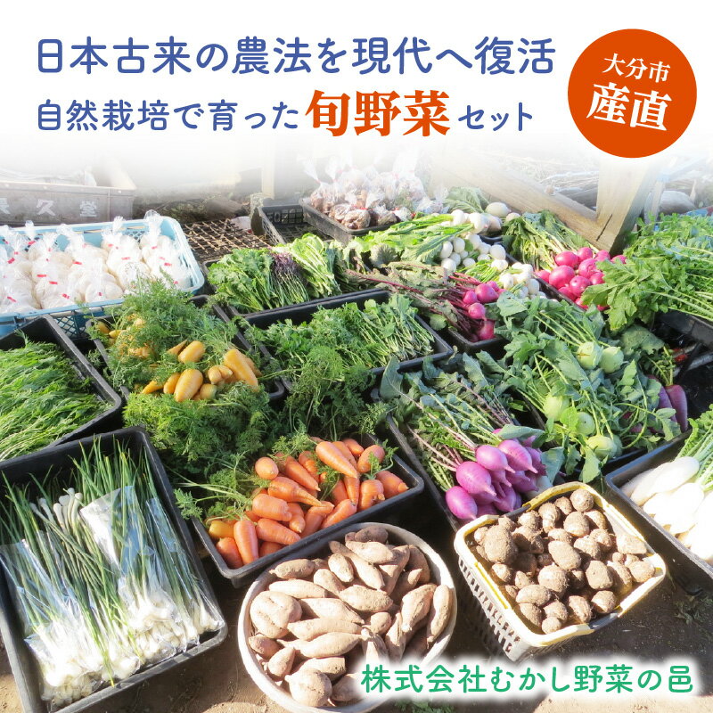 【ふるさと納税】むかし野菜の邑 大分市産直 自然栽培の野菜セット 野菜 にんじん ネギ トマト ピーマン キャベツ きゃべつ なす ナス 大根 旬菜 旬野菜 自然栽培米 米 ヒノヒカリ お米 小麦粉 もち麦 きな粉 瓜の粕漬け 小麦 大豆 自然循環農法 ごはん サラダ 旬 F01005