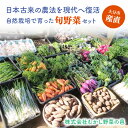 【ふるさと納税】むかし野菜の邑 大分市産直 自然栽培の野菜セット 野菜 にんじん ネギ トマト ピーマン キャベツ きゃべつ なす ナス 大根 旬菜 旬野菜 自...