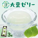 【ふるさと納税】大葉ゼリー 3個入り おやつ お菓子 ゼリー 大分市産 洋菓子店 人気店 大葉 九州 九州産 天然水 常温配送 冷凍 半解凍 シャーベット 香り 整腸作用 食欲増進 ぺリルアルデヒド 爽やか さっぱり 清涼感 夏 天然由来 ミネラル成分 ギフト のし 包装 J05007(4)