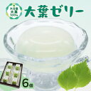 【ふるさと納税】大葉ゼリー 6個入り おやつ お菓子 ゼリー 大分市産 洋菓子店 人気店 大葉 九州 九州産 天然水 常温配送 冷凍 半解凍 シャーベット 香り 整腸作用 食欲増進 ぺリルアルデヒド 爽やか さっぱり 清涼感 夏 天然由来 ミネラル成分 ギフト のし 包装 J05008(4)