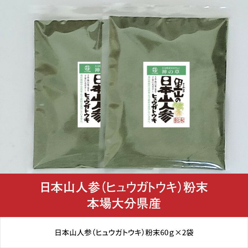 【ふるさと納税】日本山人参（ヒュウガトウキ）粉末 本場大分県産 不老長寿 高品質 やまにんじん 日向当帰 ヒュウガトーキ 葉 茎 神の草 小分け 健康 美容 絶滅危惧植物 苦味 軽い苦み 癖になる味 お茶 料理 味噌汁 吸い物 茶碗蒸し 6次産業 無農薬栽培 F09002