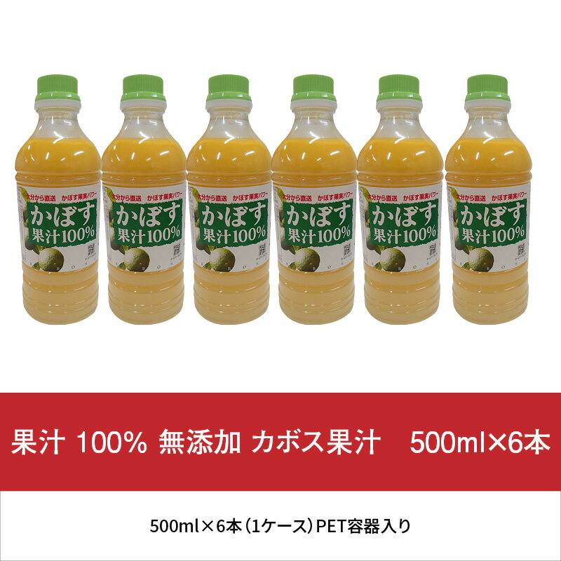 【ふるさと納税】大分県 果汁 100％ 無添加 カボス果汁　500ml×6本 F10041