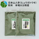 5位! 口コミ数「0件」評価「0」日本山人参（ヒュウガトウキ）粉末 本場大分県産 不老長寿 神の草 小分け 健康 美容 お取り寄せ 絶滅危惧植物 軽い苦み 癖になる味 送料無･･･ 