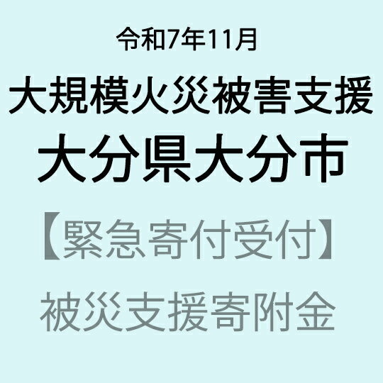 [令和7年11月大分県大分市大規模火災被害支援緊急寄附受付]大分県大分市災害応援寄附金(返礼品はありません)