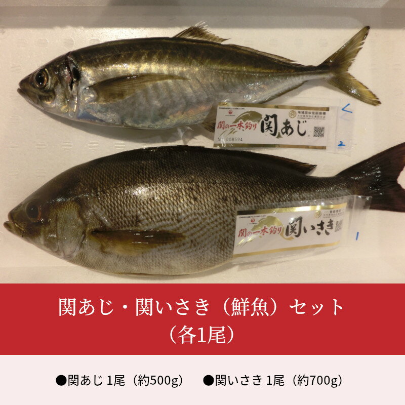 【ふるさと納税】【期間限定】関あじ・関いさき（鮮魚）セット（各1尾） 魚 鯵 イサキ 関あじ 約500g 関いさき 約700g セット 鮮魚 さかな お刺身 寿司 姿焼 塩焼き 食品 お取り寄せ グルメ お取り寄せグルメ ご当地グルメ ブランド魚 生もの 冷蔵 送料無料 E04022