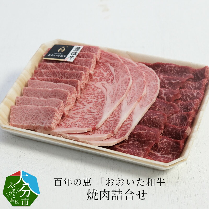 百年の恵 「おおいた和牛」 焼肉詰合せ約990g 国産 大分産 牛肉 ブランド牛 おおいた和牛 豊後牛 肉質4等級以上 霜降り サシ 牛ロース 牛モモ 牛カルビ 詰め合わせ お取り寄せ お取り寄せグルメ 焼肉 焼き肉 バーベキュー キャンプ 冷凍